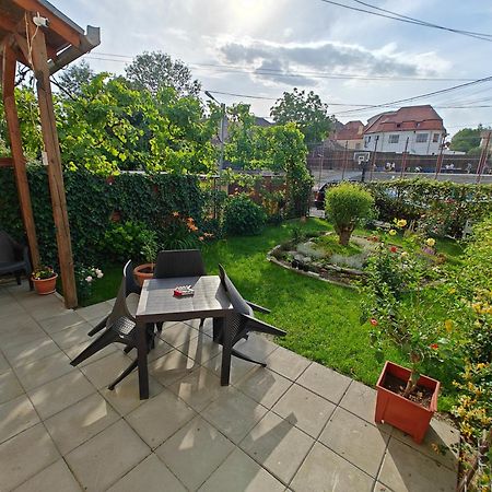 Transsylvanian Wolves Apartment Sibiu Exteriér fotografie