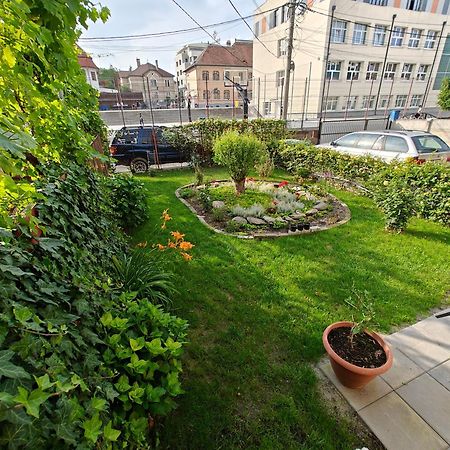 Transsylvanian Wolves Apartment Sibiu Exteriér fotografie