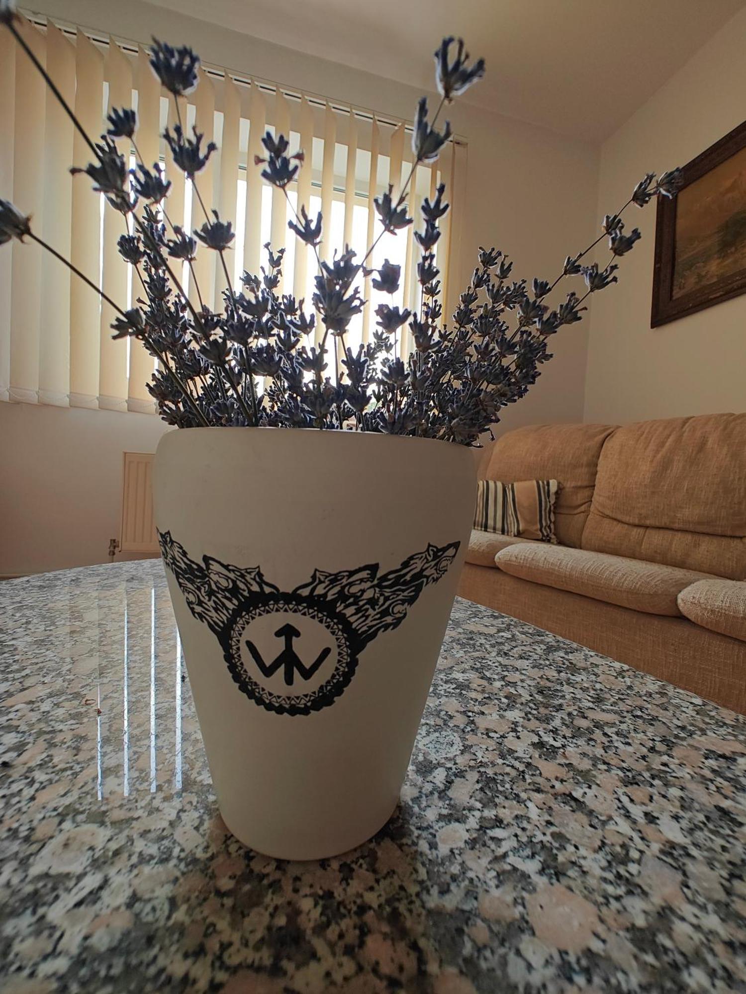 Transsylvanian Wolves Apartment Sibiu Exteriér fotografie